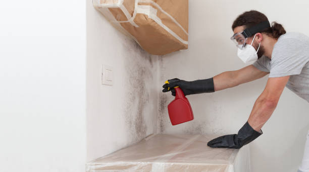 Professional Black Mold Remediation technician working in Piscataway, NJ