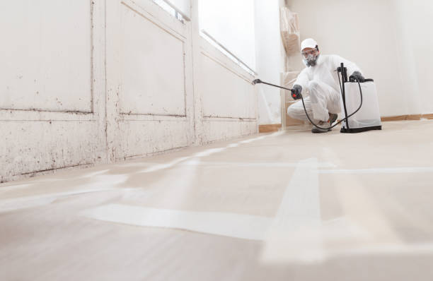 24/7 Emergency Black Mold Remediation experts in Piscataway, NJ